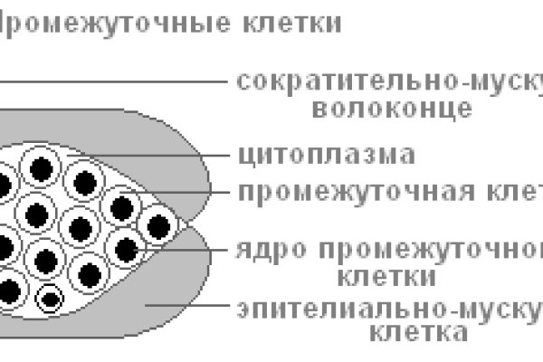 Что можно купить в кракене